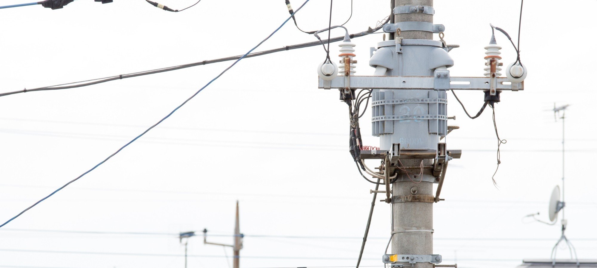 Distribution Transformers (Oil and Dry Type)